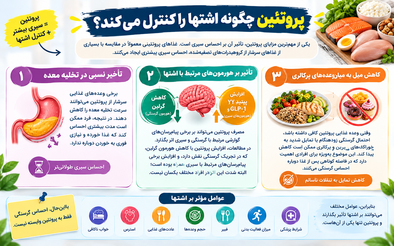 پروتئین چگونه اشتها را کنترل میکند؟