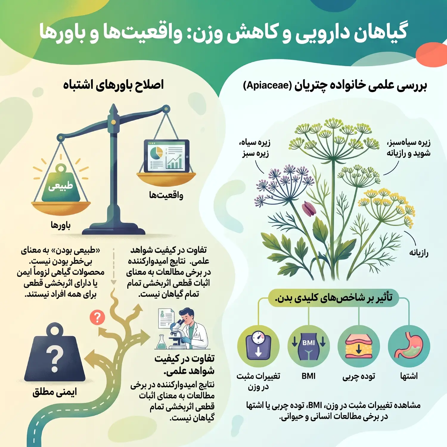 بهترین_گیاهان_دارویی برای_کمک_به_کاهش_وزن